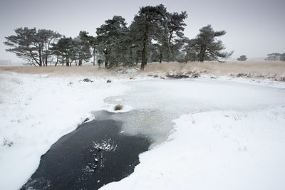 BUITEN BEELD Foto: 328655