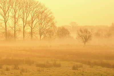 BUITEN BEELD Foto: 328657