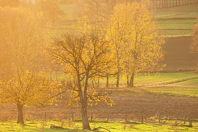 BUITEN BEELD Foto: 328661