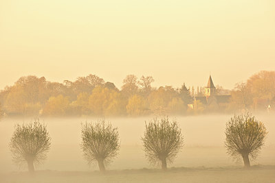 BUITEN BEELD Foto: 328664