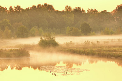 BUITEN BEELD Foto: 328667