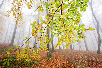 BUITEN BEELD Foto: 328673
