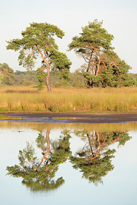 BUITEN BEELD Foto: 328675