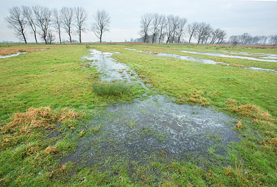 BUITEN BEELD Foto: 328681