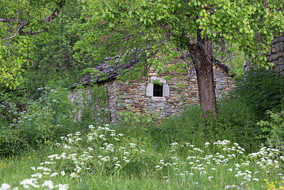 BUITEN BEELD Foto: 328702