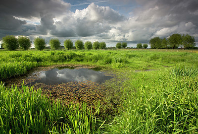 BUITEN BEELD Foto: 328723