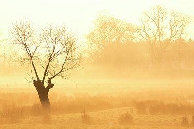 BUITEN BEELD Foto: 328724