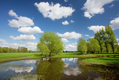 BUITEN BEELD Foto: 328726