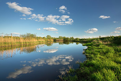 BUITEN BEELD Foto: 328728