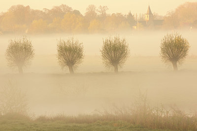 BUITEN BEELD Foto: 328731