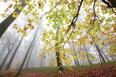 BUITEN BEELD Foto: 328739
