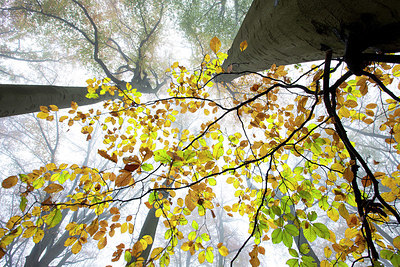 BUITEN BEELD Foto: 328740