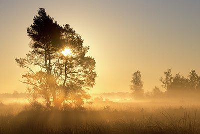 BUITEN BEELD Foto: 328743