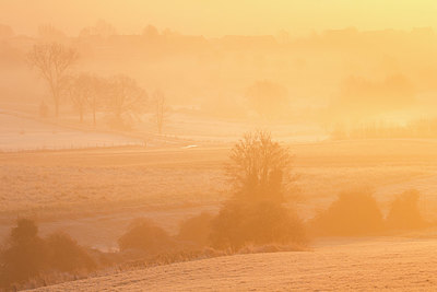 BUITEN BEELD Foto: 328757