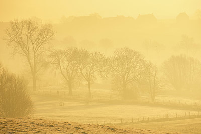 BUITEN BEELD Foto: 328758