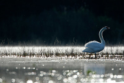 BUITEN BEELD Foto: 328780