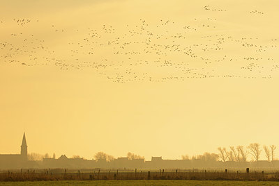 BUITEN BEELD Foto: 328787