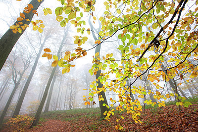 BUITEN BEELD Foto: 328831