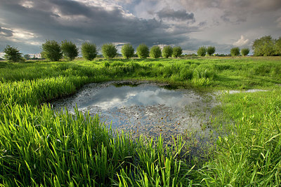 BUITEN BEELD Foto: 328835
