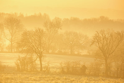 BUITEN BEELD Foto: 328838