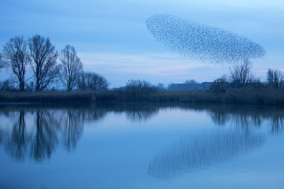 BUITEN BEELD Foto: 328868