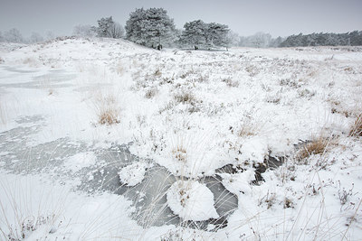 BUITEN BEELD Foto: 328874