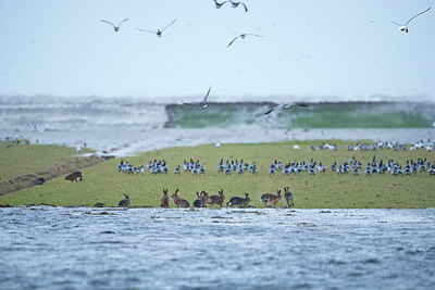 BUITEN BEELD Foto: 328896