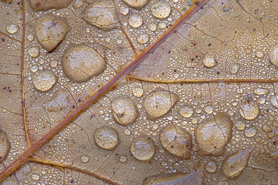 BUITEN BEELD Foto: 328908