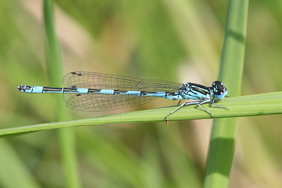 BUITEN BEELD Foto: 32068