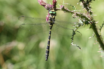 BUITEN BEELD Foto: 32094