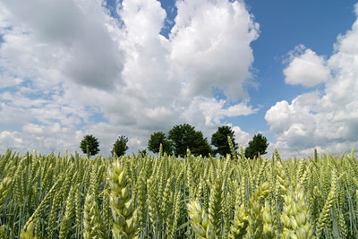 BUITEN BEELD Foto: 32187