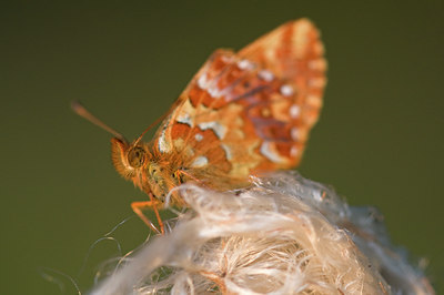 BUITEN BEELD Foto: 32197