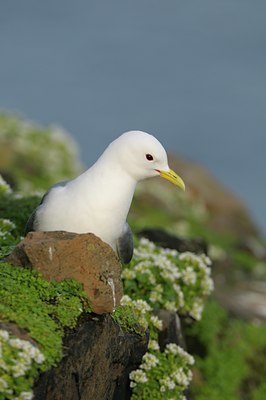 BUITEN BEELD Foto: 32255