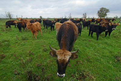 BUITEN BEELD Foto: 32279
