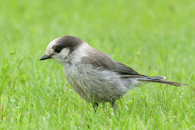 BUITEN BEELD Foto: 32290