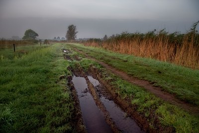 BUITEN BEELD Foto: 32346