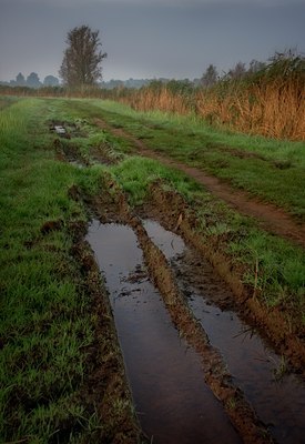 BUITEN BEELD Foto: 32347