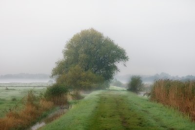 BUITEN BEELD Foto: 32348