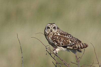 BUITEN BEELD Foto: 32361