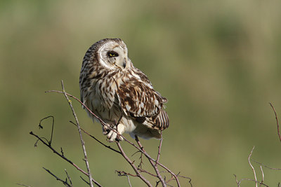BUITEN BEELD Foto: 32363
