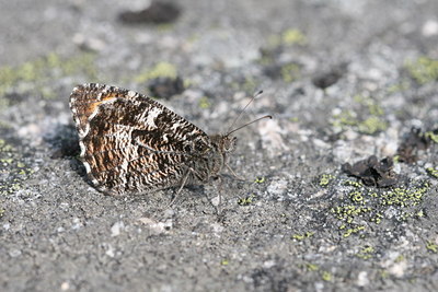 BUITEN BEELD Foto: 32409