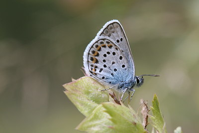 BUITEN BEELD Foto: 32426