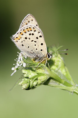 BUITEN BEELD Foto: 32453