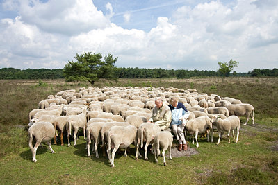 BUITEN BEELD Foto: 32481