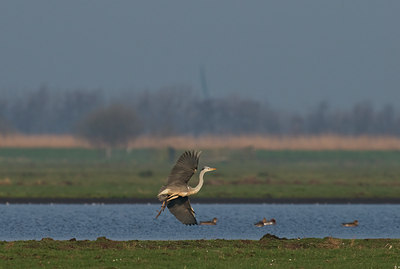 BUITEN BEELD Foto: 32586