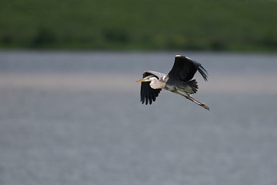 BUITEN BEELD Foto: 32587