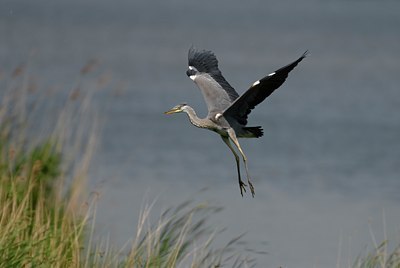 BUITEN BEELD Foto: 32588