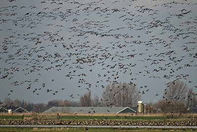 BUITEN BEELD Foto: 32600