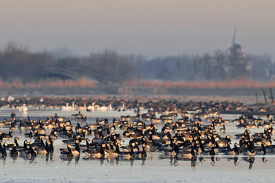 BUITEN BEELD Foto: 32607