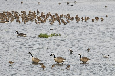 BUITEN BEELD Foto: 32651